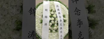 [ID: q659jwCJfMo] Youtube Automatic