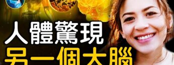 [ID: xOSZ0lH8vBg] Youtube Automatic