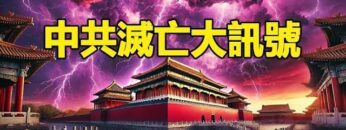 [ID: epeixBpaRe0] Youtube Automatic