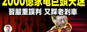 私密：[ID: Q_7ElBp-nFc] Youtube Automatic