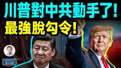 [ID: PRTNaAVonwQ] Youtube Automatic