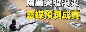 [ID: PvIzzD9p9p0] Youtube Automatic