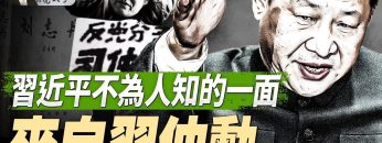 [ID: VFE20adNBRE] Youtube Automatic