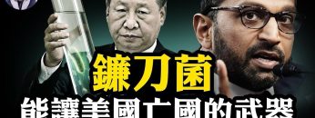 私密：[ID: vwAuL_dr14w] Youtube Automatic