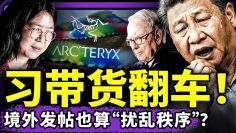 [ID: bVOHaBFm218] Youtube Automatic