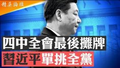 [ID: Mknq4CxRlcc] Youtube Automatic