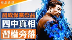 [ID: OMwk1h7jzbg] Youtube Automatic