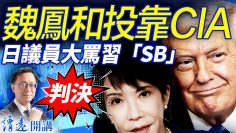 [ID: owliTvhK4s0] Youtube Automatic