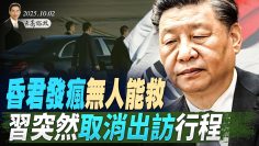 [ID: wzXslcRRB7o] Youtube Automatic