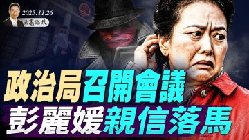 私密：[ID: 9LT62g2gnBU] Youtube Automatic