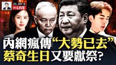 [ID: MzPMO94_N_4] Youtube Automatic