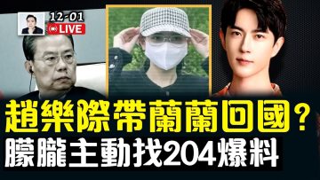 [ID: 5KMeccR0NeY] Youtube Automatic